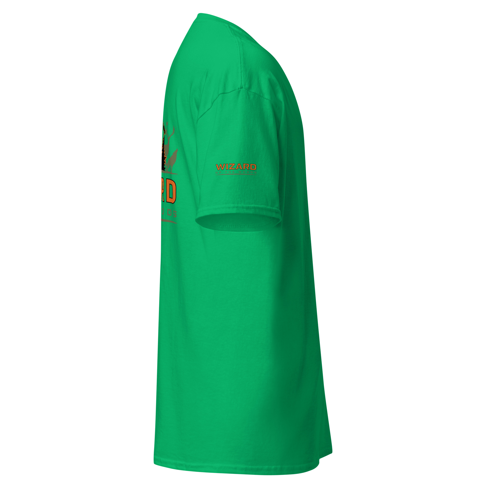 unisex-classic-tee-irish-green-right-69f1125cddaa0.jpg