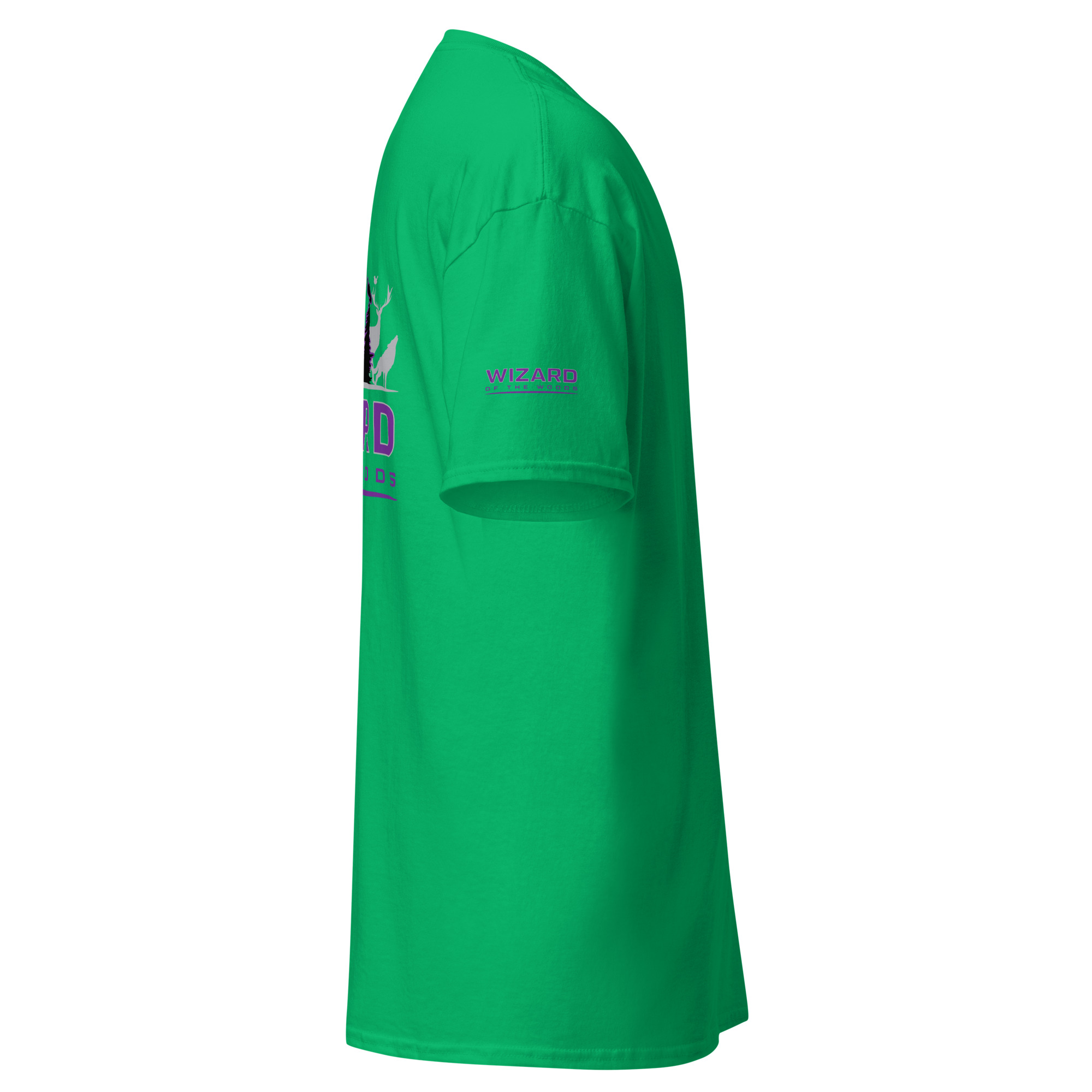 unisex-classic-tee-irish-green-right-69f118ca486cb.jpg