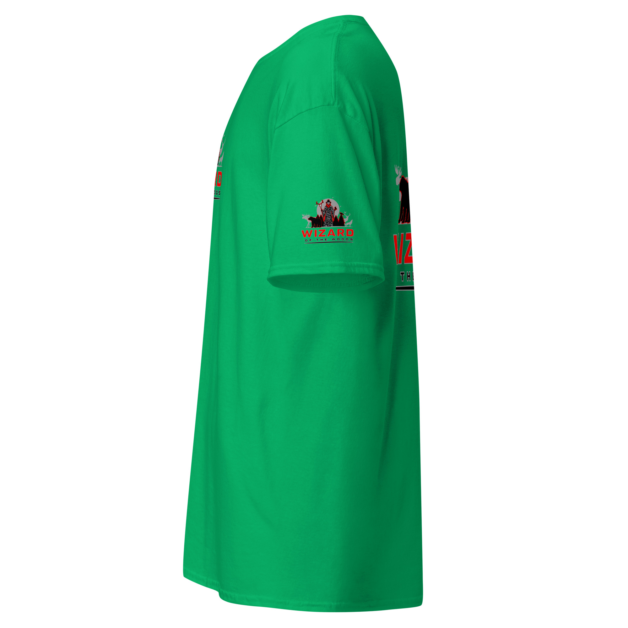 unisex-classic-tee-irish-green-left-6a93a69163d3e.jpg