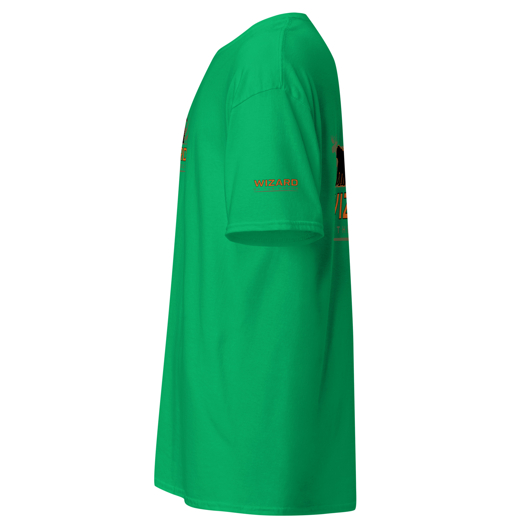 unisex-classic-tee-irish-green-left-6a93a9eb10c5a.jpg