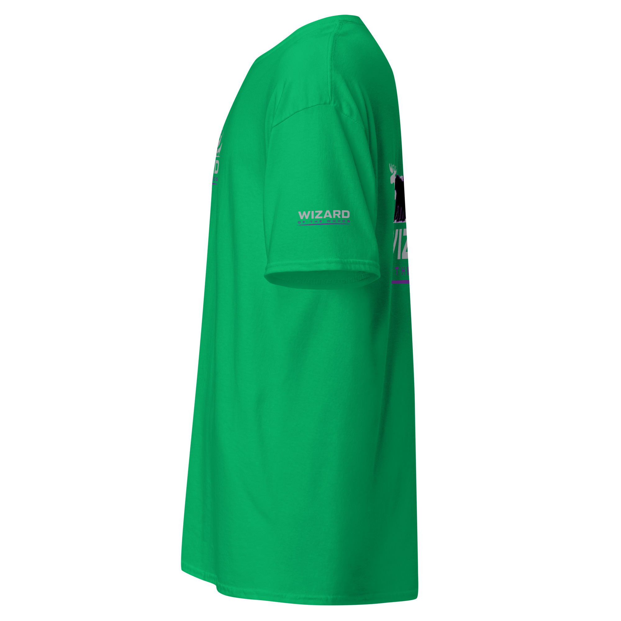 unisex-classic-tee-irish-green-left-6a93aceca2dd7.jpg