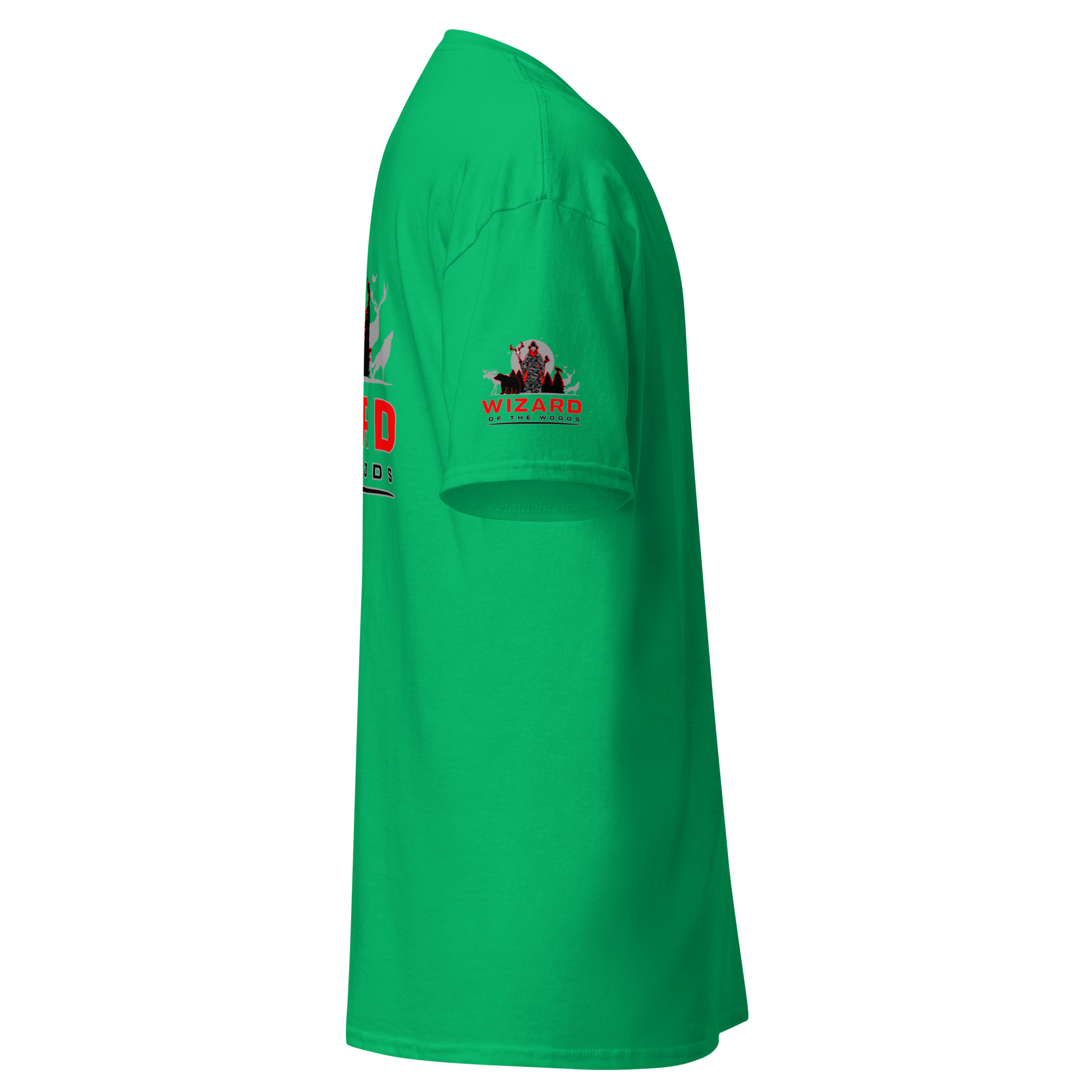 unisex-classic-tee-irish-green-right-6a93a69166dd3.jpg