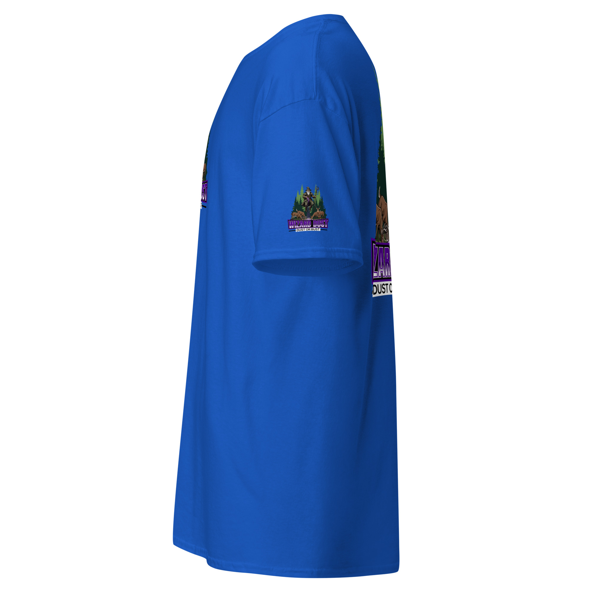 unisex-classic-tee-royal-left-6a93af8245511.jpg